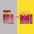 thumbnail image 2 of Burt's Bees 100% Natural Origin Moisturizing Tinted Lip Balm, Daisy with Shea Butter, 2 of 4