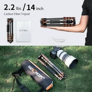 K&F CONCEPT Carbon Fiber Travel Tripod for DSLR Camera, Monopod, 360° Ball Head, 17.6lbs Load Capacity