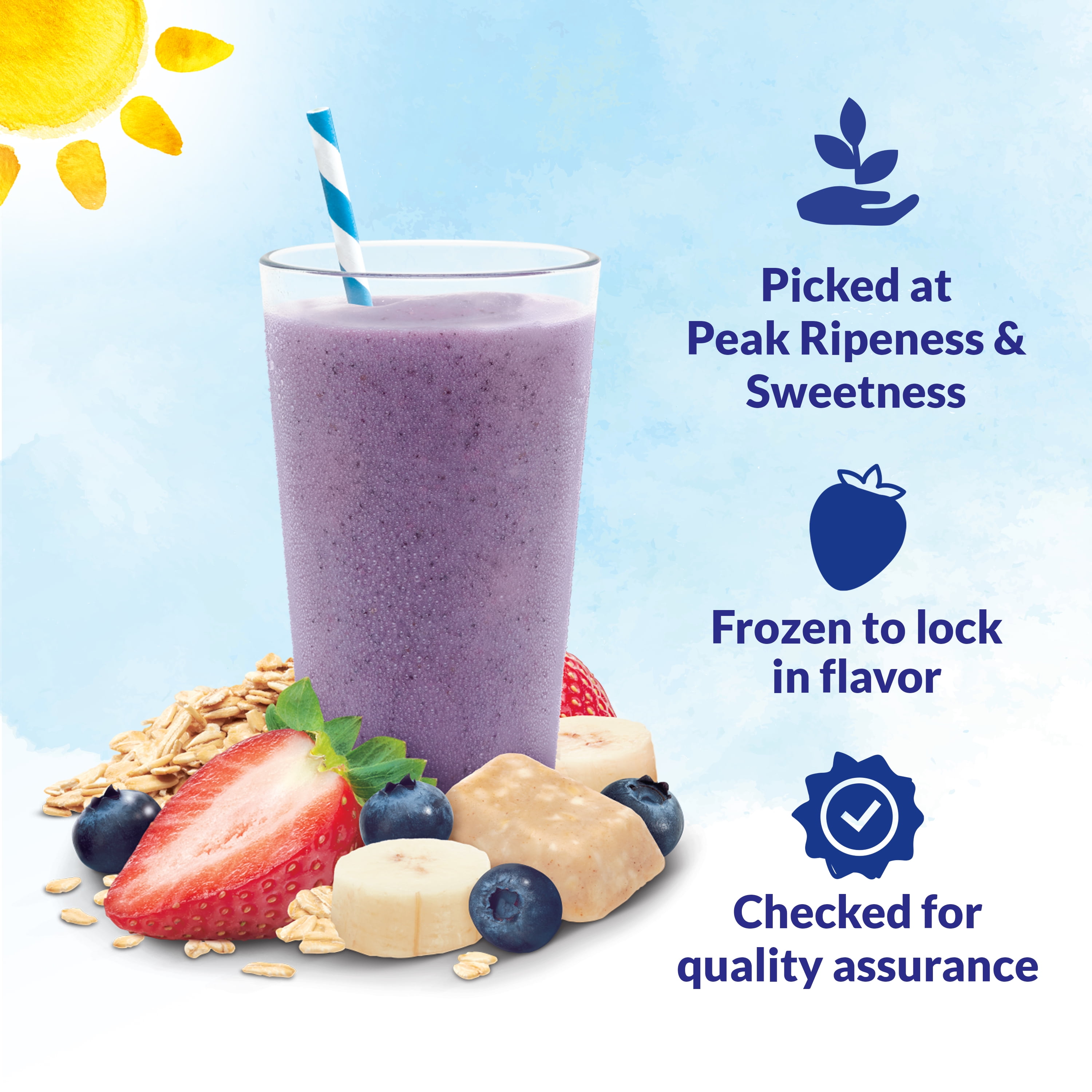 Dole® Crafted Smoothie Blends® Frozen Mixed Berry Oatmeal - Dole