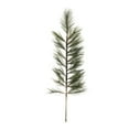 thumbnail image 3 of Vickerman 36-42-48" Artificial White Pine Tops 3 Piece Set, 3 of 7