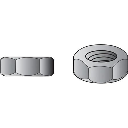 

0.25 in. Stainless Steel SAE Hex Nut Pack of 100