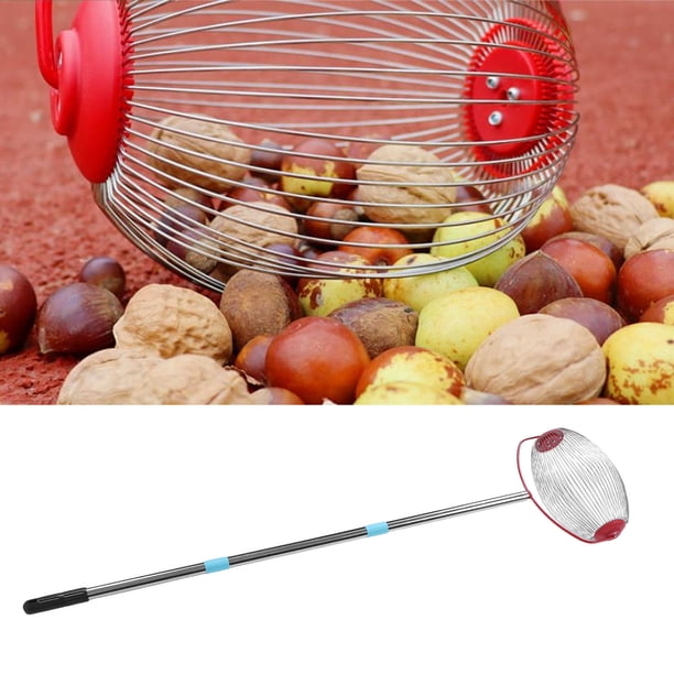 Recolector De Nueces, Recolector De Tuercas Con Salida Directa De Descarga, Rodillo Superior Multifuncional De