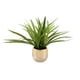 thumbnail image 2 of planta artificial decorativa con maceta dorada / plateada de cerámica, 2 of 6