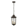 thumbnail image 2 of 4643-PBZ Millennium Lighting Eldrick - 2 Light Outdoor Hanging Lantern-17.9 Inches Tall and 8.3 Inches Wide-Powder Coat Bronze Finish, 2 of 5