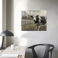 thumbnail image 4 of Orinice  Collection BW Country Cows on Wood Poster Print by JB Hyler   16x12in, 4 of 6
