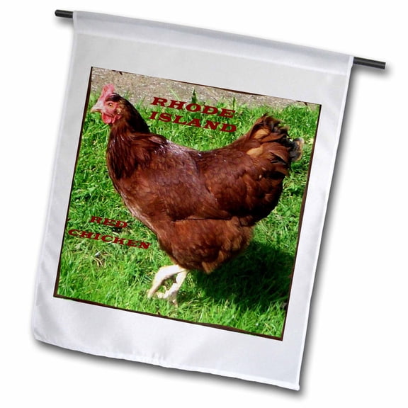 3dRose, State Bird Of Rhode Island Red Chicken, 12 x 18 inch Garden Flag