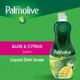 thumbnail image 3 of Palmolive Ultra Experientials Liquid Dish Soap, Aloe & Citrus Scent - 20 Fluid Ounce, 3 of 15