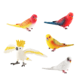 thumbnail image 1 of Set de figuras Realistic Parrot de PVC, 5 piezas, pintadas a mano, 1 of 2