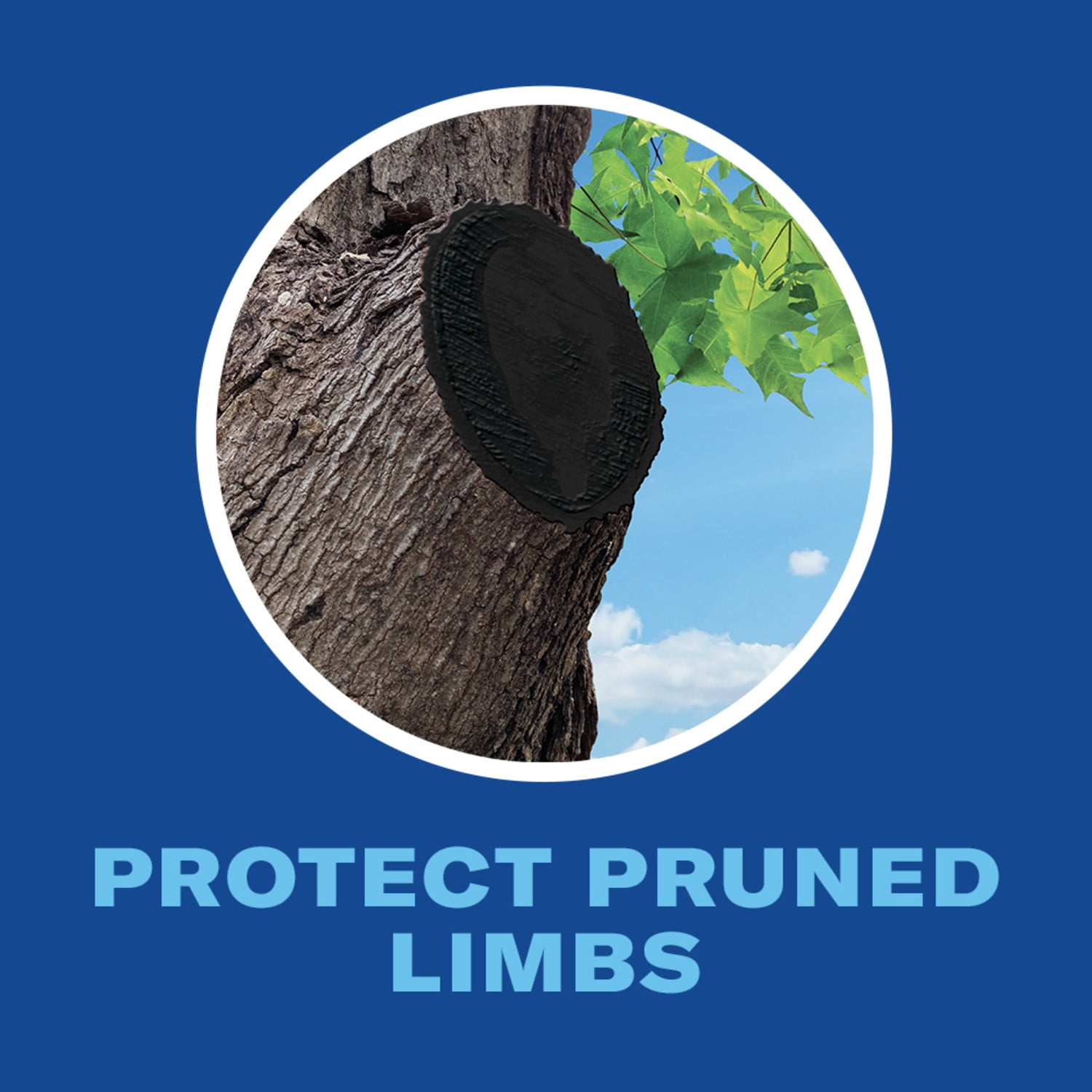 (2 pack) BioAdvanced Tree & Shrub Pruning Seal Liquid, 13oz Can Protects Newly Pruned Limbs From Insects and Fungus