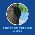 thumbnail image 3 of BioAdvanced Tree & Shrub Pruning Seal Liquid, 13oz Can Protects Newly Pruned Limbs From Insects and Fungus, 3 of 7