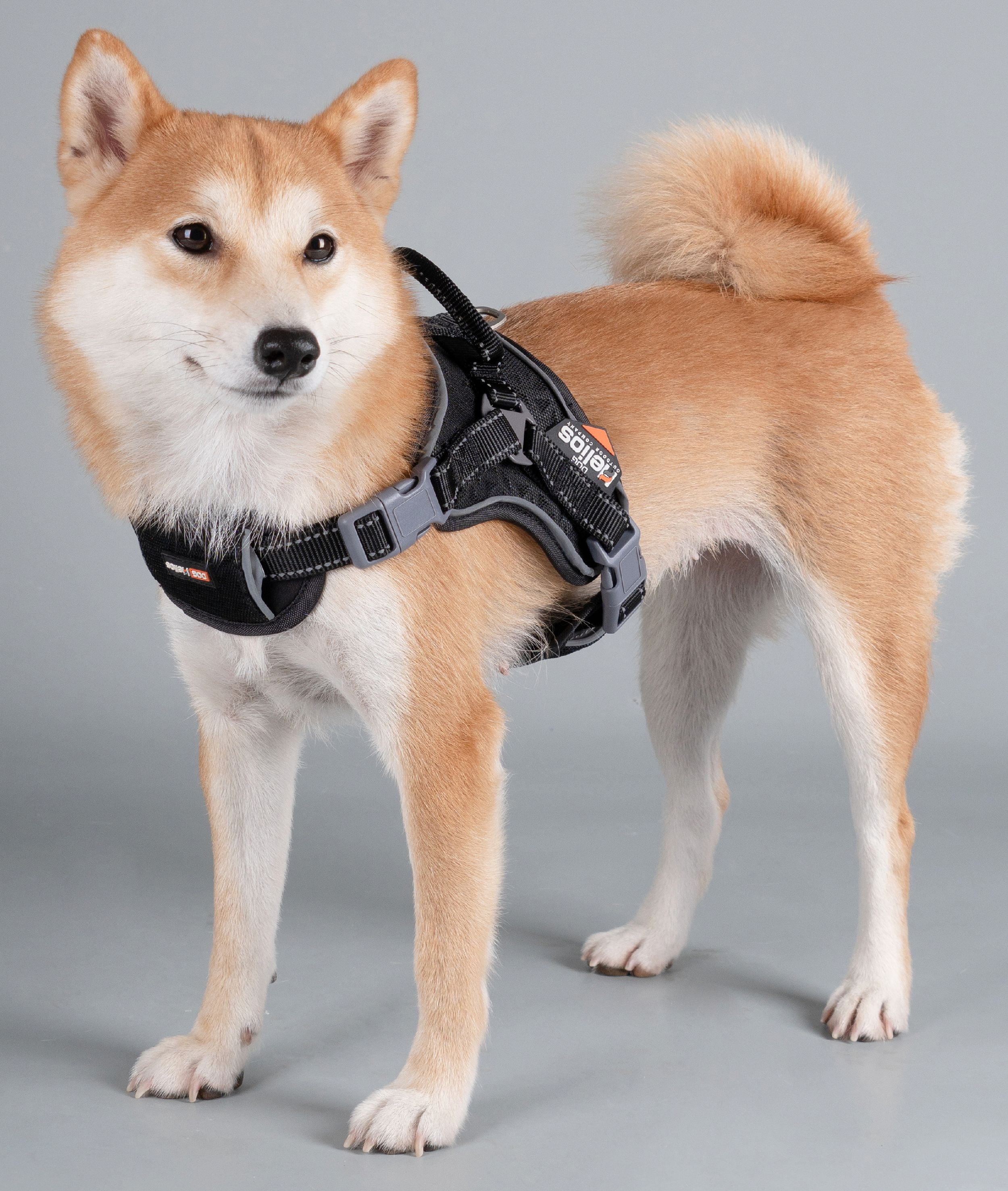 Dog Helios Stainless Steel, Nylon, Polyester, Fleece & Mesh Scorpion Walking Dog & Cat Harness, Black, M (20.5" to 23.6" Chest Size)