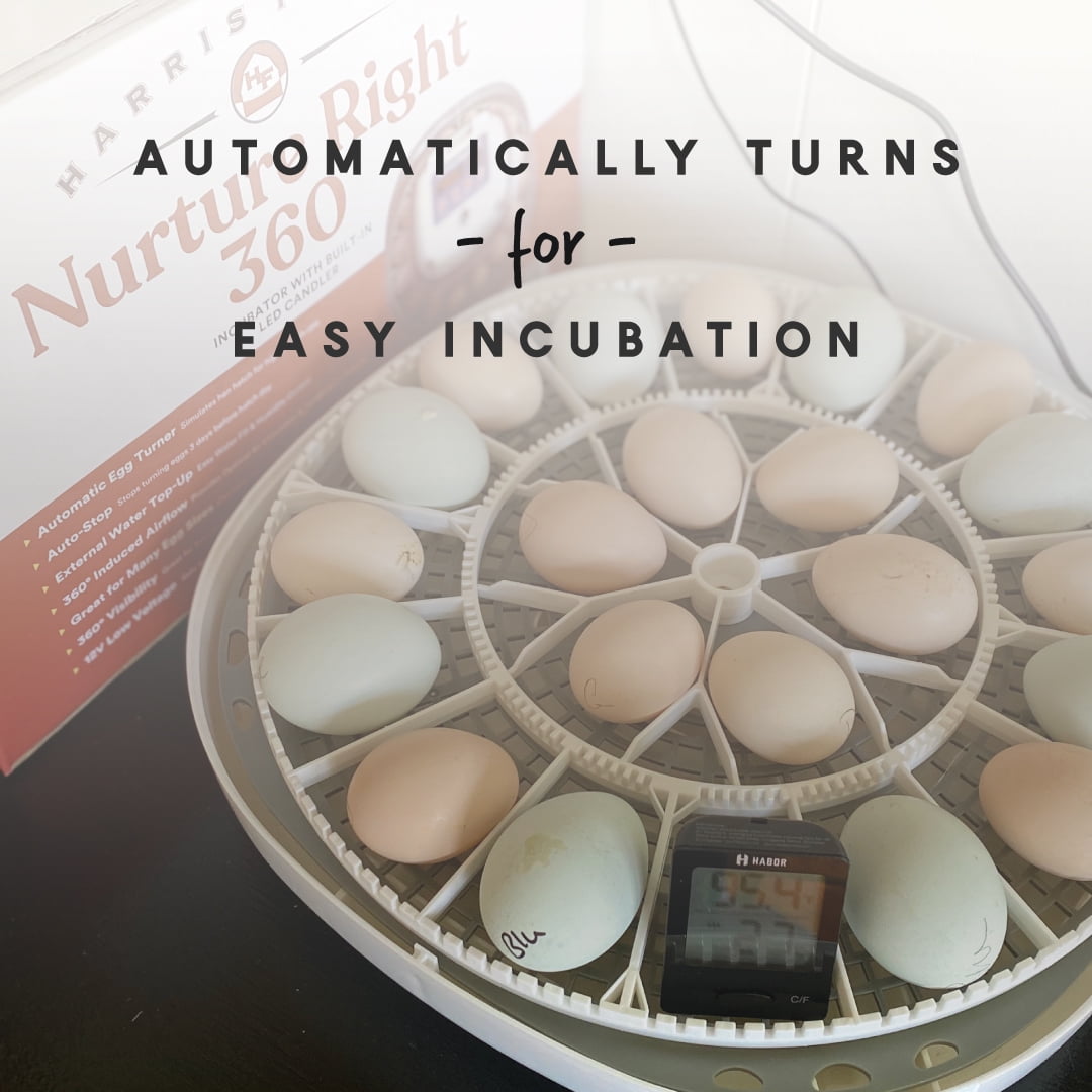 Buy Manna Pro Harris Farms Nurture Right Egg Incubator, 360 Degree View