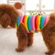 thumbnail image 2 of Elegante vestido para cachorro de perro, chaleco de rayas arcoíris, ropa de verano para mascotas, camisetas, talla M, 2 of 7
