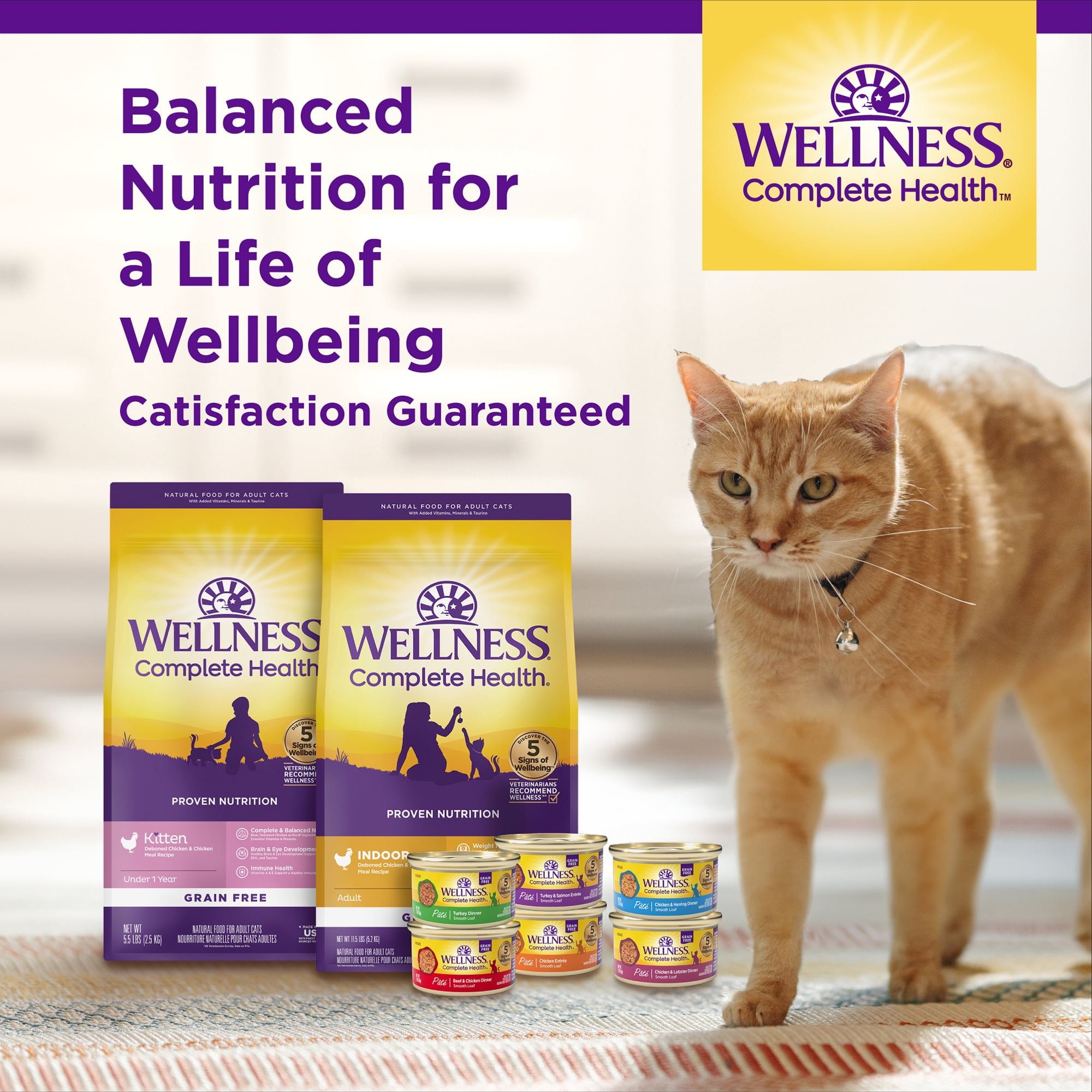 Wellness Complete Health Dry Cat Food, Indoor Deboned Chicken & Chicken Meal Recipe, 5lb Bag