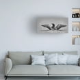 thumbnail image 2 of Jim Cumming 'Common Loon In Black And White' Canvas Art, 2 of 4