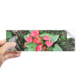 thumbnail image 1 of Autocollant Pare-Chocs Rectangulaire Bougie Fleur Rouge pour Fenêtre de Carnet, 1 of 1