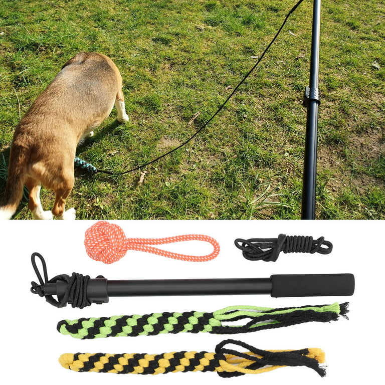 Interactive Flirt Pole Toy For Dogs Outdoor Exercise - Temu