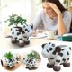 thumbnail image 1 of Maceta de vaca para suculentas | Contenedor de flores animales de resina | Linda decoración de jardín interior y exterior | Resistente a la intemperie | Soporte para plantas caprichoso único | 190 g, 1 of 7