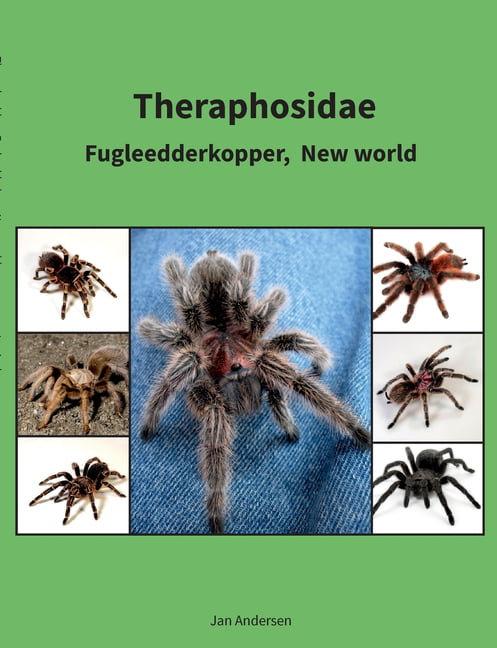 valgfri Strålende Tørke Theraphosidae : Fugleedderkopper, New world (Paperback) - Walmart.com