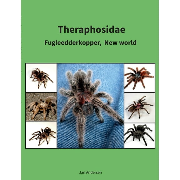 Theraphosidae: Fugleedderkopper, New world, (Paperback)