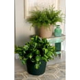 thumbnail image 2 of The HC Companies 24 Inch Indoor/Outdoor Classic Flower Pot Planter, Slate Blue, 2 of 5