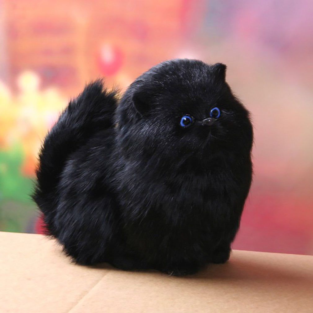 cats and dolls