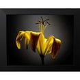 thumbnail image 2 of McLoughlin, James 24x19 Black Modern Framed Museum Art Print Titled - Studio Flowers V, 2 of 5