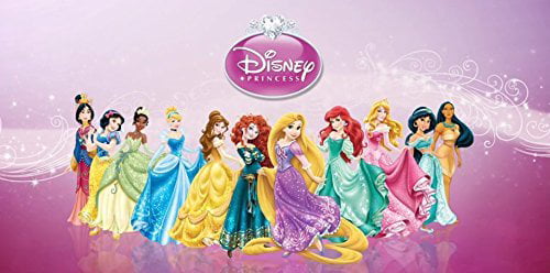 BRAND NEW Disney Princess Cinderella Bella Aurora Snow White Sleeping Bag