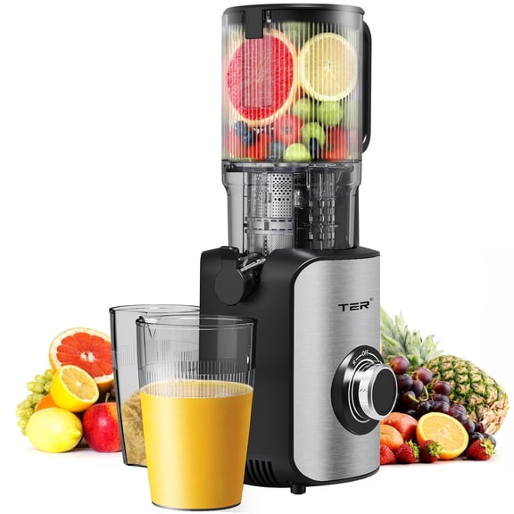 TER 250W Cold Press Juicer with 5-Inch Wide Chute, Slow Masticating Juicer for Vegetables and Fruits, Stainless Steel, Includes 2 Cups, Silver