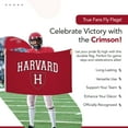 thumbnail image 4 of Showdown Displays 810003HARV-002 3 x 5 ft. Harvard Crimson NCAA Flag - No.002, 4 of 4