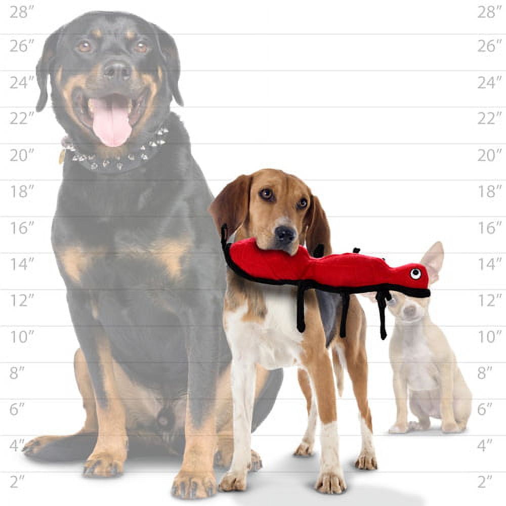TUFFY® Desert Ant, 2-Pack Durable Dog Toys