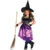 Girls 2PC.Spiderweb Witch Costume w/ High Low Dress and Hat