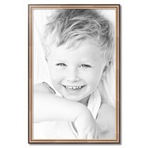 ArtToFrames 25" x 39" Anique Silver Picture Frame, 25x39 inch Silver Wood Poster Frame (WOM-4964)