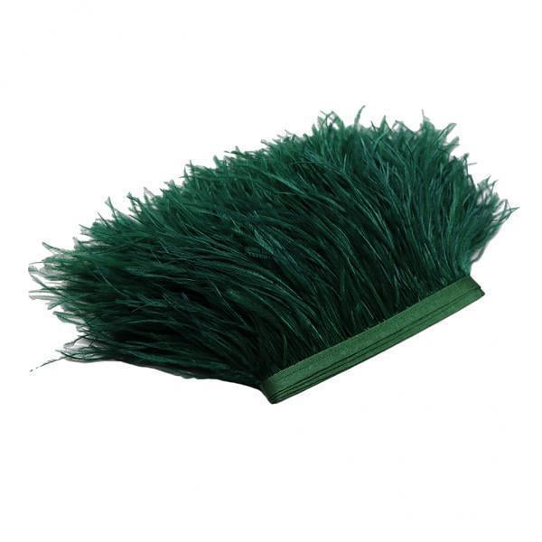 2 X 1 Yarda Teñida De Plumas De Con Flecos Cinta Embellecedora 2 piezas Gloria