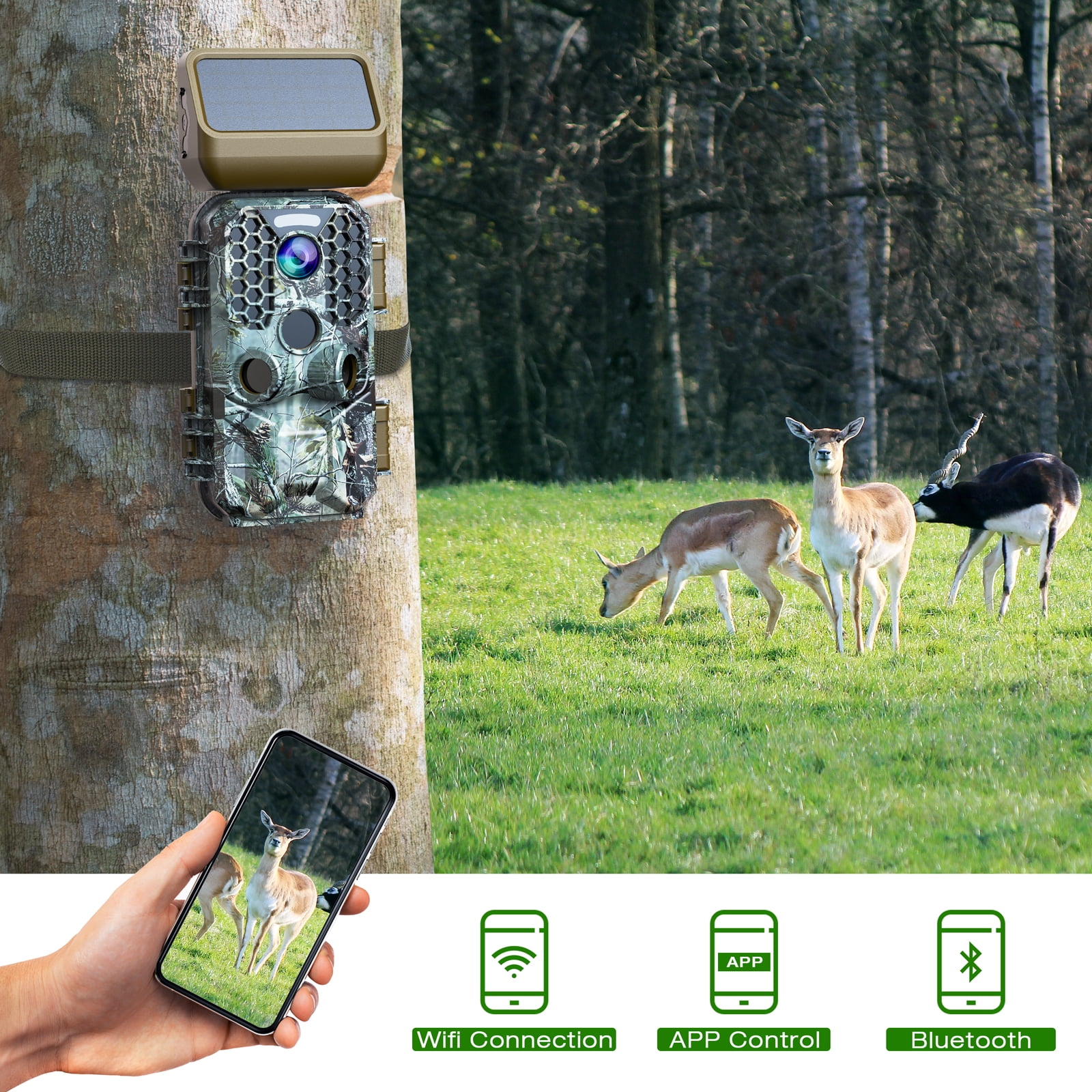 solar powered wifi trail camera