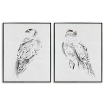 Stupell Industries White Hawk Winter Birds Soft Speckled Feathers, 24 x 30,Design by Melissa Wang