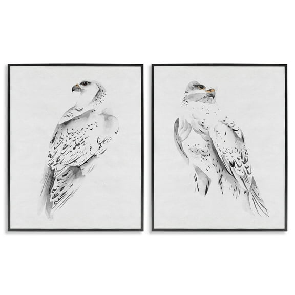 Stupell Industries White Hawk Winter Birds Soft Speckled Feathers, 24 x 30,Design by Melissa Wang
