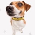 thumbnail image 3 of Collier pour Chien à LED, Collier pour Chien Rechargeable Lumineux, Programmable BT Contrôlé par Application, Texte et Graphiques Personnalisés, 3 of 8