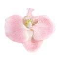 thumbnail image 3 of Simulated Phalaenopsis Orchid Decorative Flower Accessories, 3 of 8