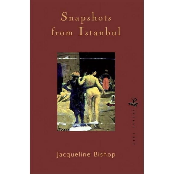 Snapshots from Istanbul (Paperback)