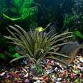 thumbnail image 3 of Simulación plástico agua hierba falso pecera paisajismo plantas acuario decoración, 3 of 8