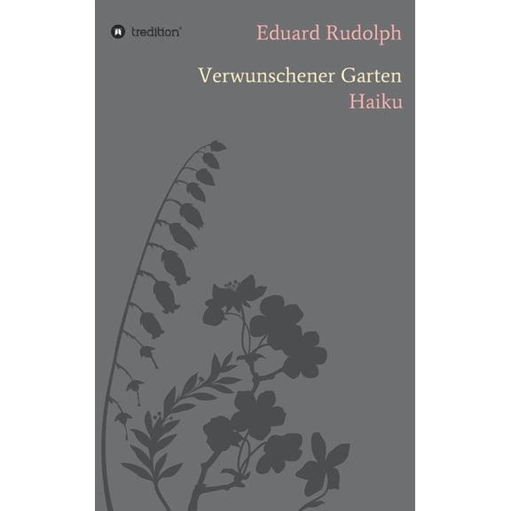 The Path to San Damiano Paperback 1419698907 9781419698903 John Litwinovich