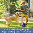 thumbnail image 2 of Balón de fútbol para perros QDAN duradero para perros grandes, 20 cm, 2 of 8