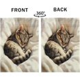thumbnail image 3 of Sleeping Cats Garden Flag 12x18 Inch Double Sided Modern Minimalist Wildlife Burlap Lawn Flag for Outdoor Backyard House Decor, 3 of 6