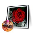 thumbnail image 1 of Cuadros Decorativos Flor de rosa roja 5D diamante cuadrado lleno de diamantes de imitación para la decoración de la habitación (FC882) Ehuebsd embutido en tela, 1 of 1