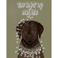 thumbnail image 2 of Fab Funky 12x14 White Modern Wood Framed Museum Art Print Titled - Chocolate Labrador, You Light Up, 2 of 4