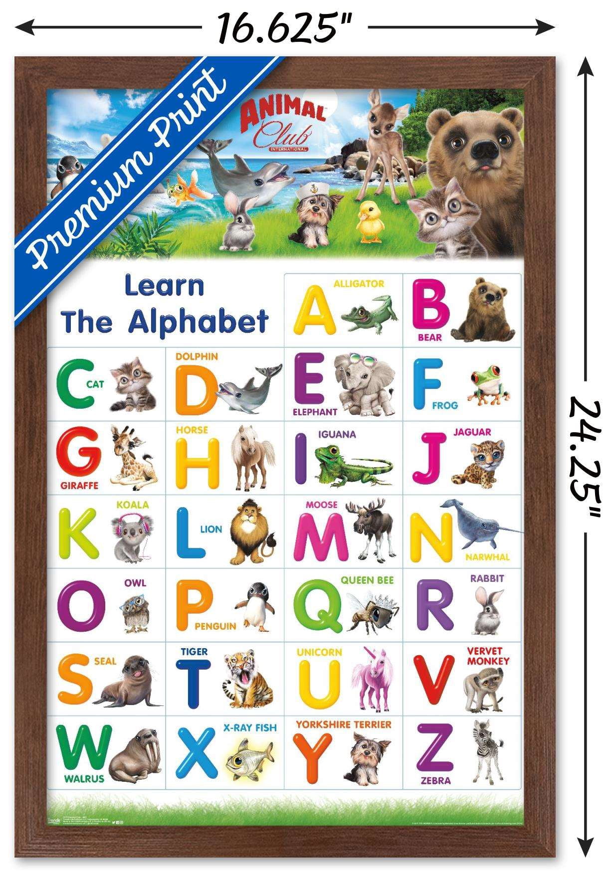 Animal Club - Letters ABC Wall Poster, 14.725" x 22.375", Framed
