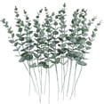 thumbnail image 1 of Tallos de eucalipto artificiales CEWOR, 24 unidades, color verde sintético, 1 of 6