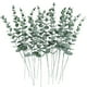 thumbnail image 1 of Tallos de eucalipto artificiales CEWOR, 24 unidades, color verde sintético, 1 of 6