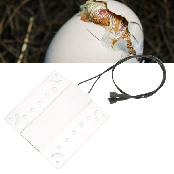 Accesorios De Calefacción Para Incubadoras, Elemento Calefactor De Aluminio Resistente Y Duradero Para Incubadoras